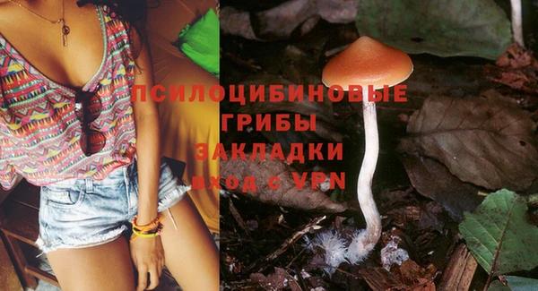 ПСИЛОЦИБИНОВЫЕ ГРИБЫ Аркадак