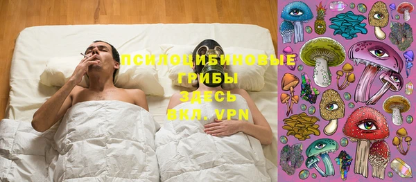 ПСИЛОЦИБИНОВЫЕ ГРИБЫ Аркадак